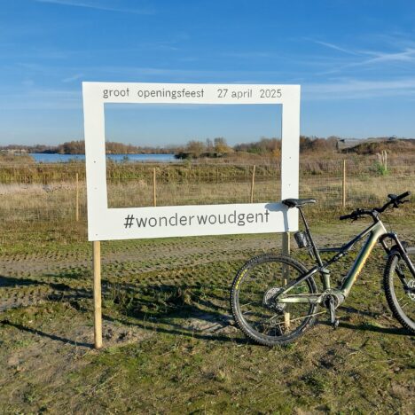 Natuurbeheersplan Meerdaalwoud & Heverleebos